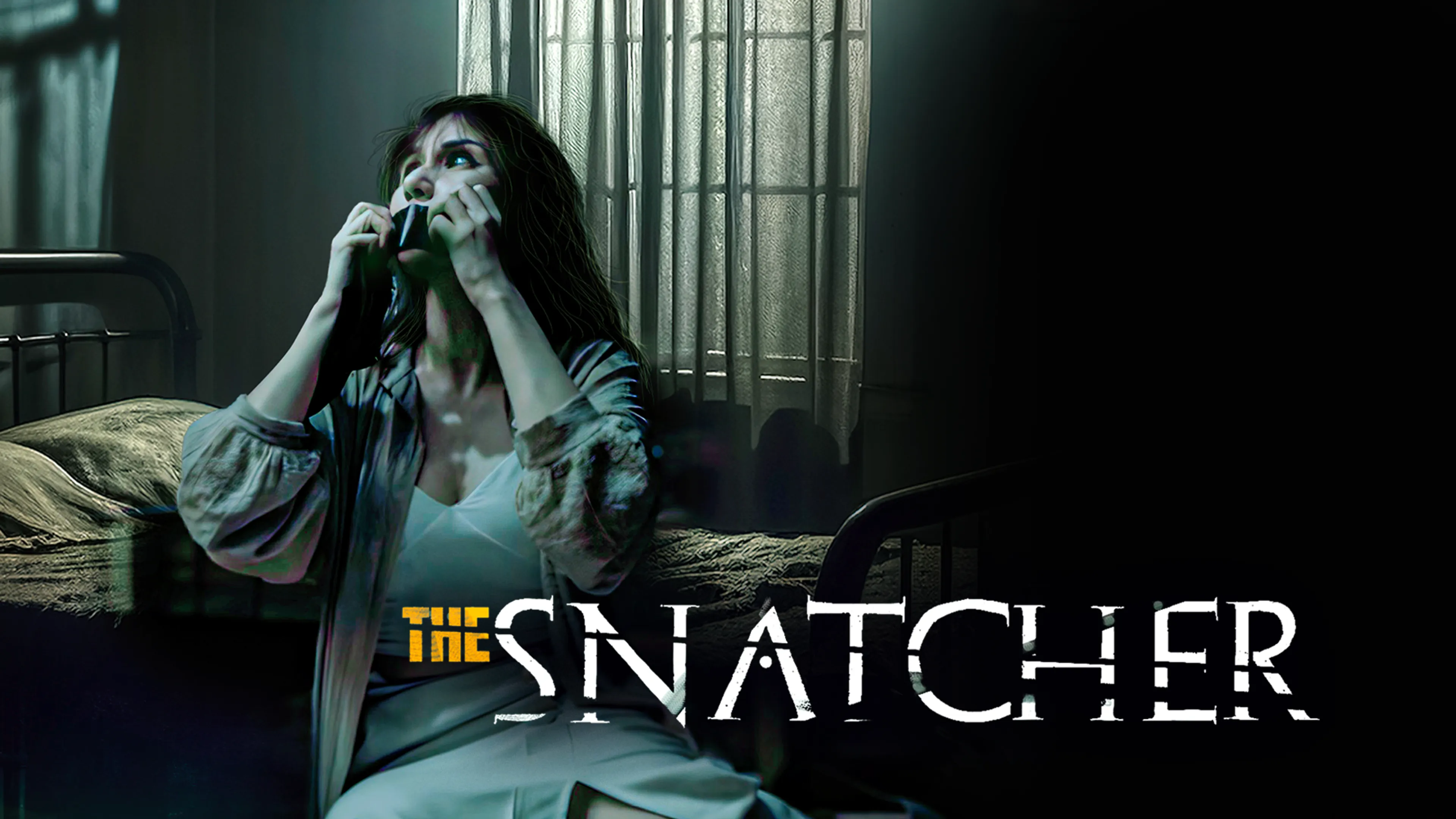 The Snatcher poster